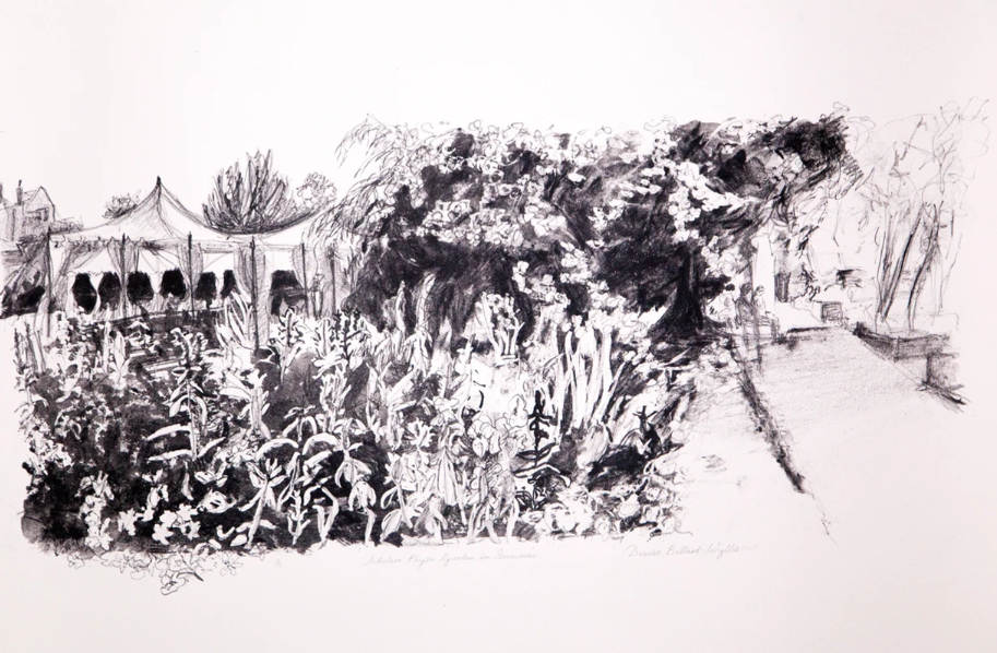 Chelsea Physic Garden- In Summer