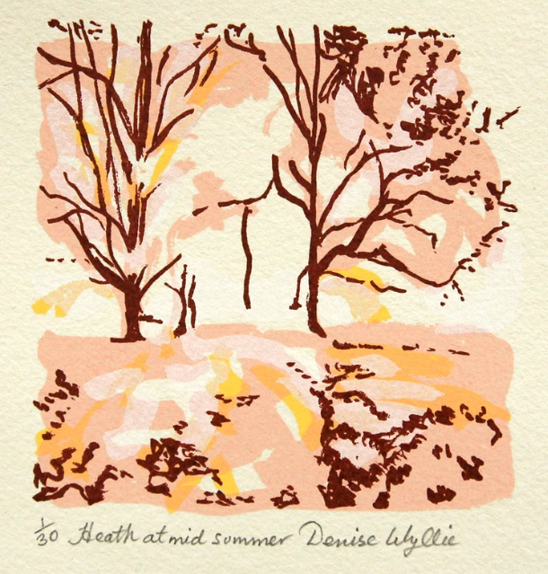 Heath at mid Summer