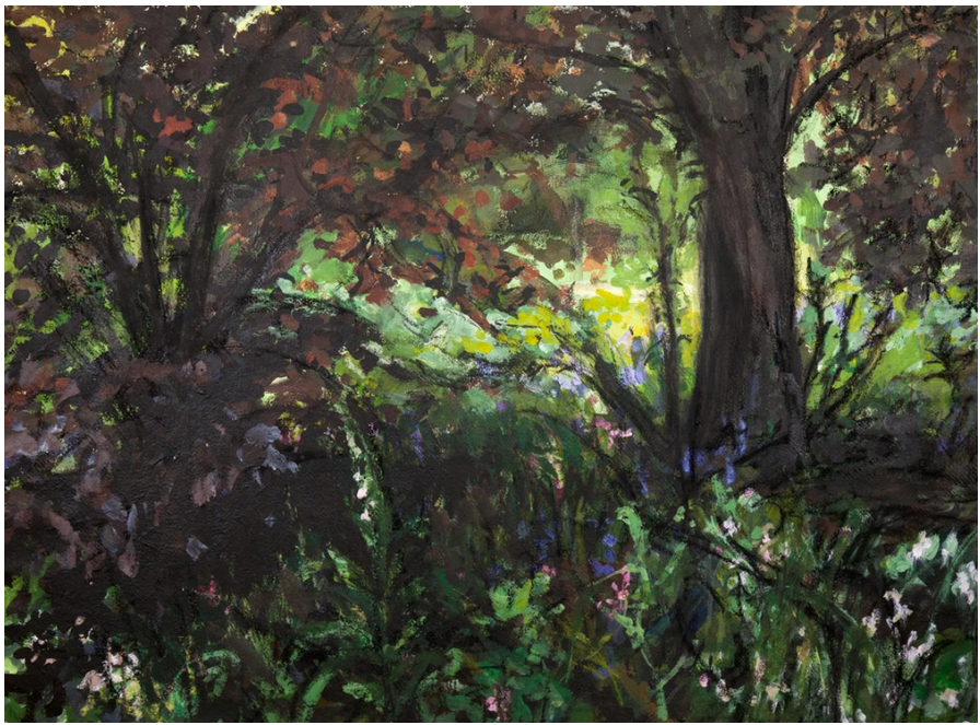 Under The Beech Trees