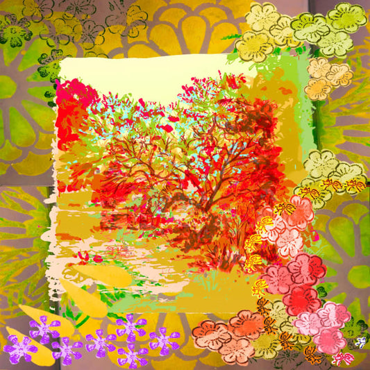 Cerci Magical Summer Ants